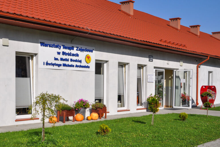Kup prace warsztatowiczów WTZ Stóże